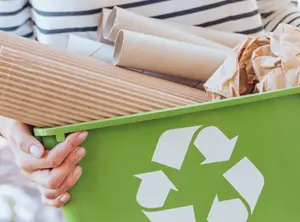 Eco-Friendly Moving Practices